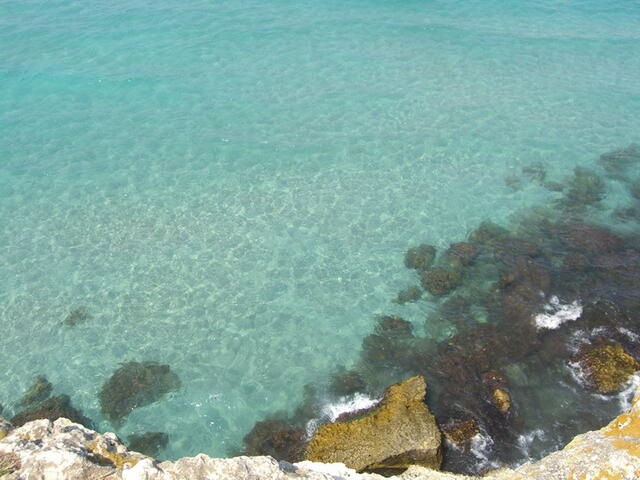foto21.jpg