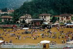 Dall'alto