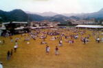 Il campo