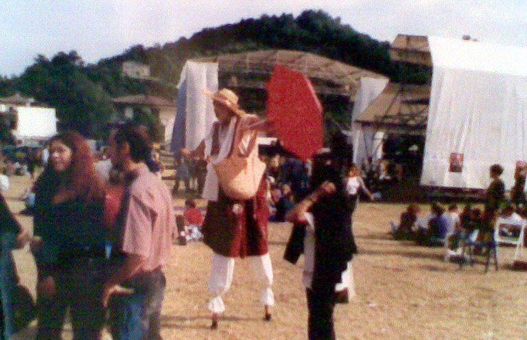 Altro trampoliere