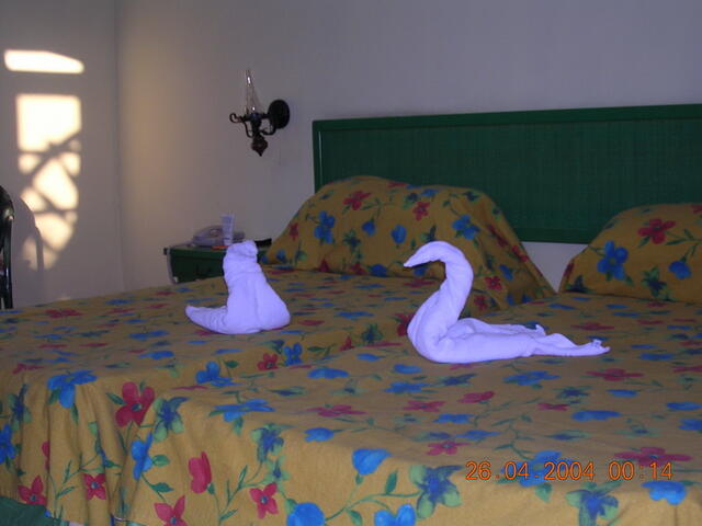 foto05.jpg