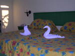 foto05.jpg
