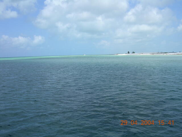 foto31.jpg