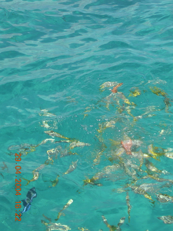foto34.jpg