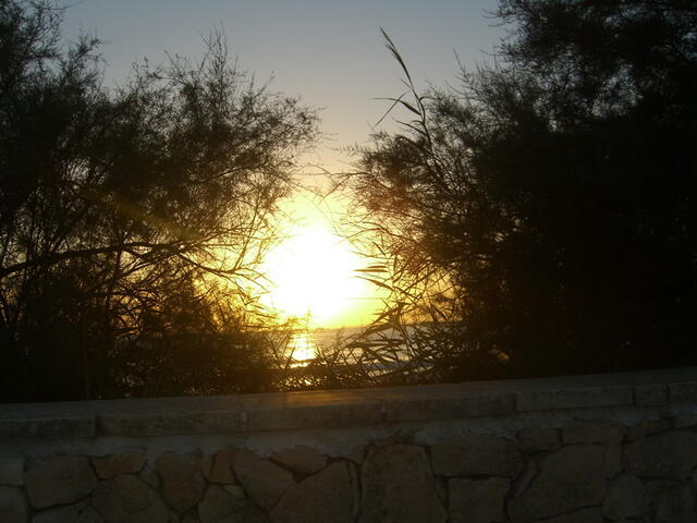 foto03.jpg