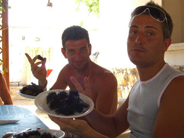 foto72.jpg