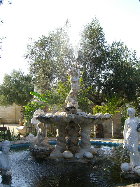 foto78.jpg