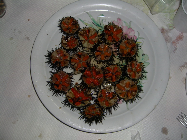 foto92.jpg
