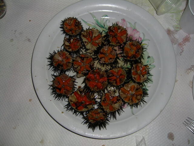 foto92.jpg