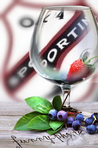 sportingmania0016.jpg