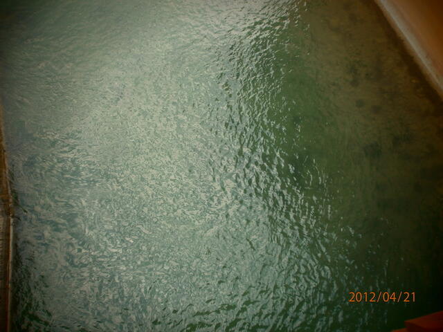 foto070.jpg