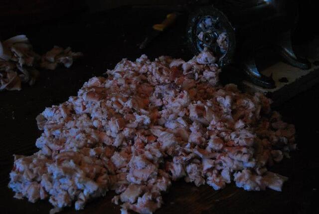 foto19.jpg