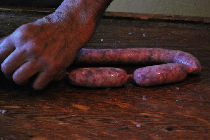 foto31.jpg