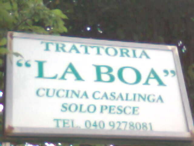 foto001.jpg
