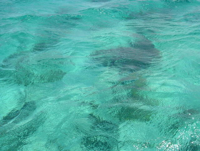 foto19.jpg