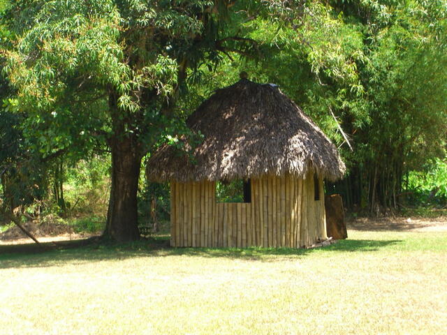 foto41.jpg