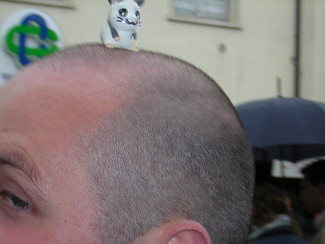 foto055.jpg